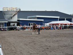 DSC_9241_web